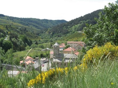 Farmhouse Charmantes Bauernhaus in Cros-de-Géorand - Environment photo 35