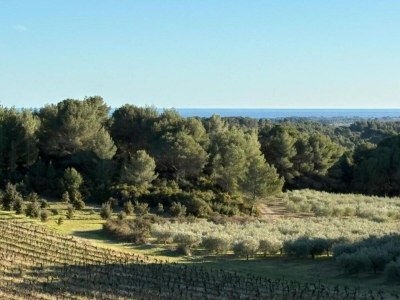 Villa Villa in Campagnan mit Pool und Weinbergblick - Environment photo 32