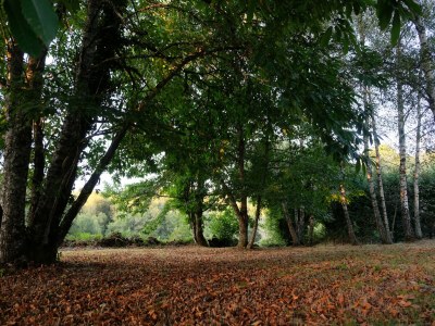 Holiday house Wunderschön gelegenes Landhaus mit beheiztem Pool - Outdoor photo 8