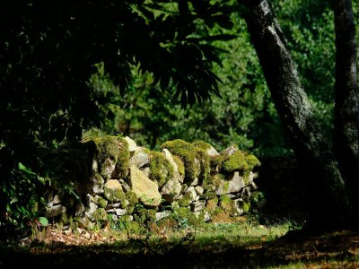 Holiday house Wunderschön gelegenes Landhaus mit beheiztem Pool - Outdoor photo 9