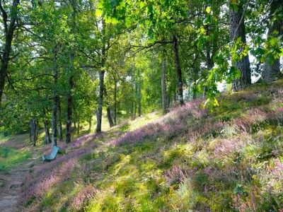 Holiday house Wunderschön gelegenes Landhaus mit beheiztem Pool - Environment photo 35