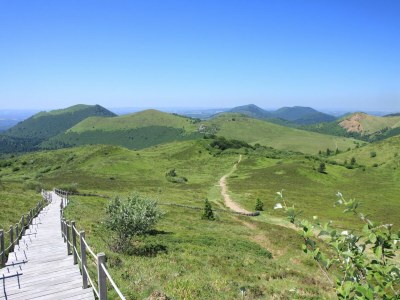 Castle Schloss in Le Veurdre am Wald und Fluss - Environment photo 38