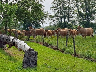 Holiday house Comfortable holiday home with spacious garden - Outdoor photo 8
