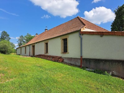 Holiday house Comfortable holiday home with spacious garden - Outdoor photo 14