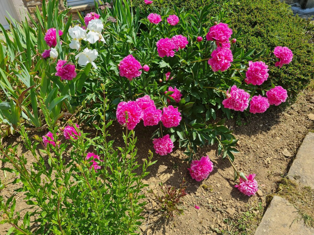 Holiday house Holiday Home Vault-de-Lugny near Forest - Outdoor photo 5