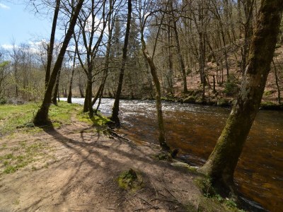 Holiday house Holiday Home Vault-de-Lugny near Forest - Environment photo 30