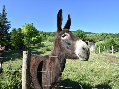 Holiday house Holiday Home Vault-de-Lugny near Forest - Outdoor photo 34