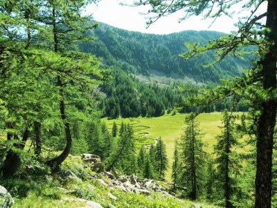 Villa Charmante Villa in Castellane - Environment photo 39