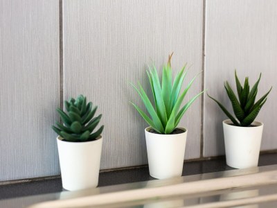 Holiday house Gemütlicher Rückzugsort am Hang in Berre - Outdoor photo 38