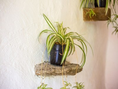 Holiday house Friedlicher Rückzugsort im Garten, Berre - Outdoor photo 36