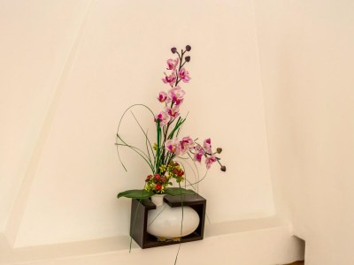 Holiday house Friedlicher Rückzugsort im Garten, Berre - Outdoor photo 37