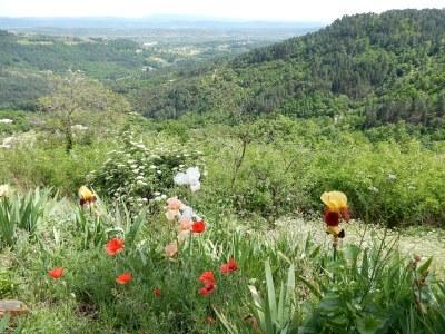 Holiday house Steinvilla mit Panoramablick - Outdoor photo 12