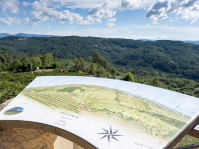 Holiday house Steinvilla mit Panoramablick - Outdoor photo 16