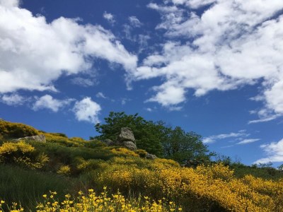 Holiday house Haus in Ardèche bei Ray-Pic Wasserfall - Outdoor photo 9