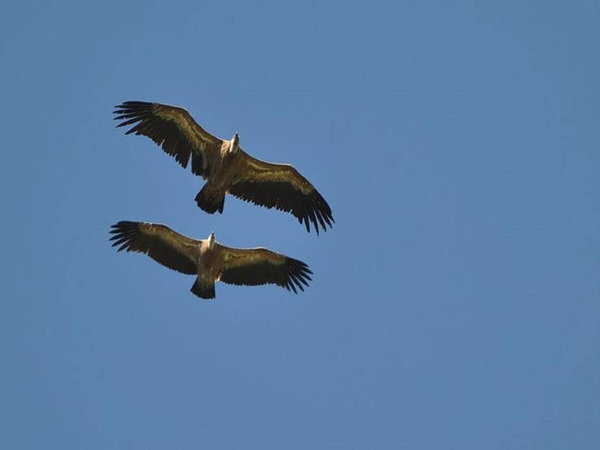 Holiday house Gemütliches Familienhaus in Saint-Pons - Outdoor photo 2
