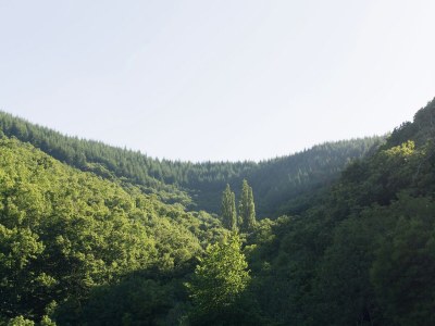Apartment Fabulous holiday home with mountain views - Environment photo 20