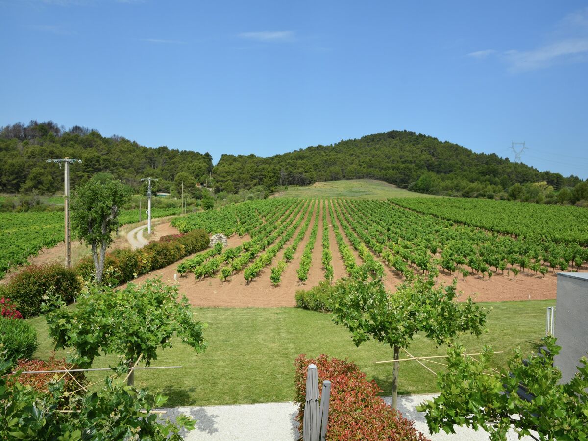 Villa Bauernhaus in Languedoc mit Pool und Weinbergen - Outdoor photo 2