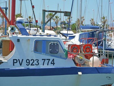 Villa Bauernhaus in Languedoc mit Pool und Weinbergen - Environment photo 32