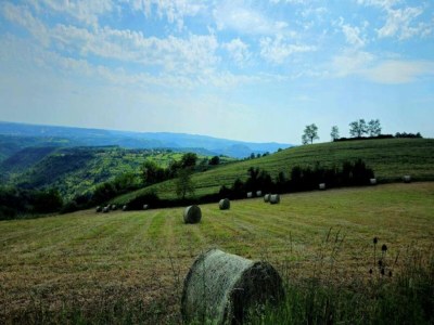 Holiday house Holiday Home in Muret near Château Colombier - Environment photo 32