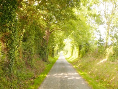 Holiday house Naturrefugium in St Germain du Pert - Environment photo 24