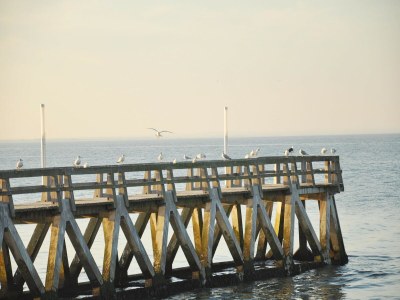 Holiday house Naturrefugium in St Germain du Pert - Environment photo 30