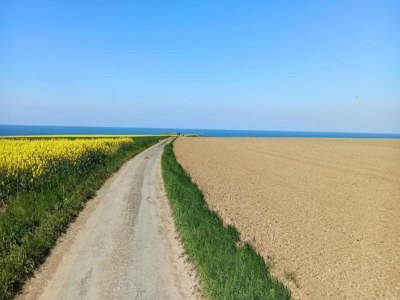 Holiday house Seaside Stay in Saint-Clément - Environment photo 28