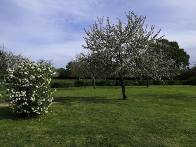 Holiday house Seaside Stay in Saint-Clément - Environment photo 36