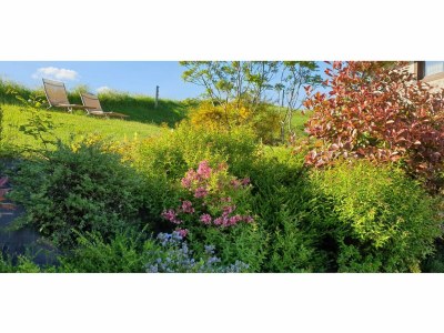 Cottage Hilltop Haven in Parlan - Outdoor photo 38