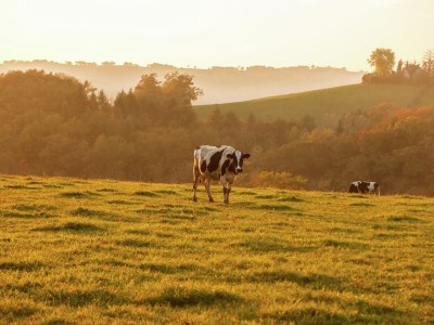 Holiday house Calvinet Retreat für sechs Gäste - Environment photo 27