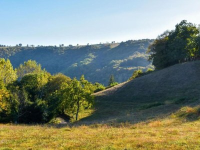 Holiday house Calvinet Retreat für sechs Gäste - Environment photo 29