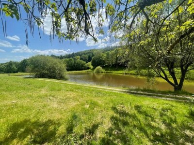Villa Villa with Pool & Views in Sérilhac - Environment photo 32