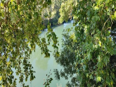 Villa Villa with Pool & Views in Sérilhac - Environment photo 34