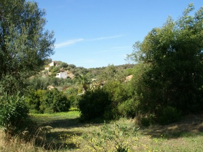 Holiday house Beachside Bliss in Cargèse - Environment photo 29