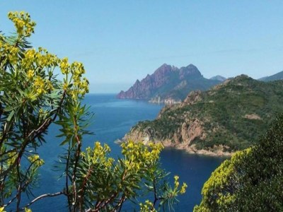 Holiday house Beachside Bliss in Cargèse - Environment photo 34