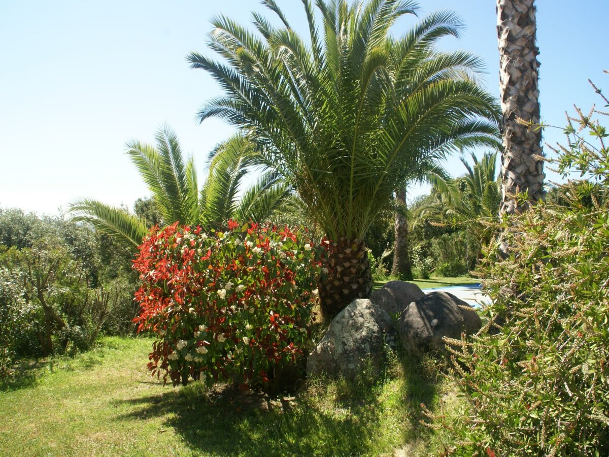 Villa Geräumige Villa mit Pool - Outdoor photo 3
