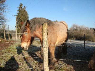 Holiday house Villa mit Spa & Pool - Environment photo 31