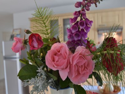 Holiday house Home for 7 Guests in Plouvara - Outdoor photo 37