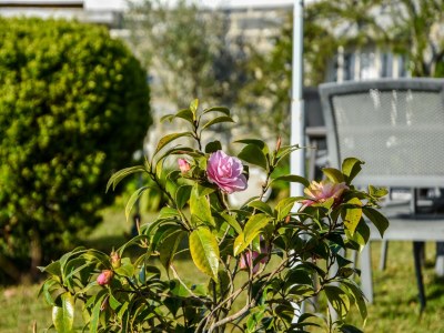 Holiday house Seaside Comfort in Erquy - Outdoor photo 40
