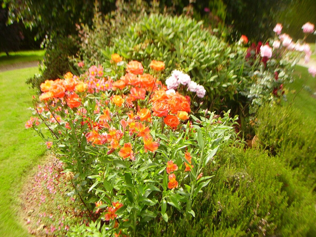 Holiday house Ruhiger Waldaufenthalt in Pédernec - Outdoor photo 2