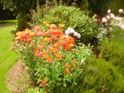 Holiday house Ruhiger Waldaufenthalt in Pédernec - Outdoor photo 2