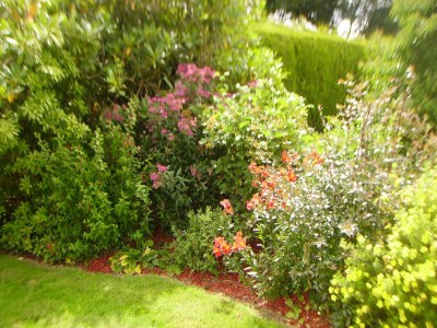 Holiday house Ruhiger Waldaufenthalt in Pédernec - Outdoor photo 7