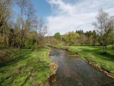 Holiday house Ruhiger Waldaufenthalt in Pédernec - Environment photo 29