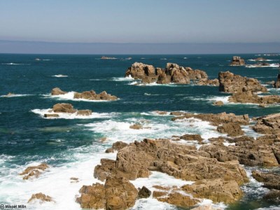 Holiday house Ruhiger Waldaufenthalt in Pédernec - Environment photo 34