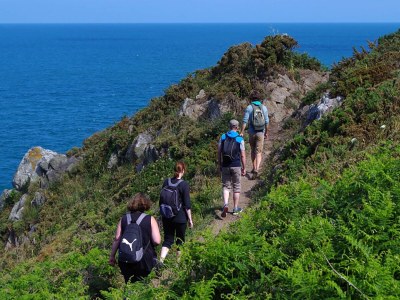 Holiday house Ruhiger Waldaufenthalt in Pédernec - Outdoor photo 37