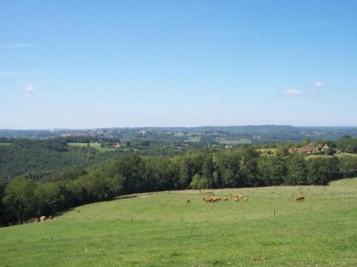 Holiday house Romantisches Ferienhaus, Berbiguières - Environment photo 19