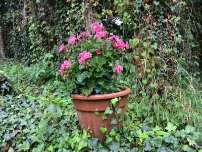 Holiday house Malerisches Haus in Berbiguières - Outdoor photo 29