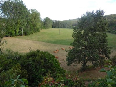Holiday house Haus auf einem Hügel mit Talblick - Environment photo 30