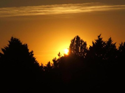 Holiday house Holiday Home in Lusignac with Private Pool - Environment photo 37