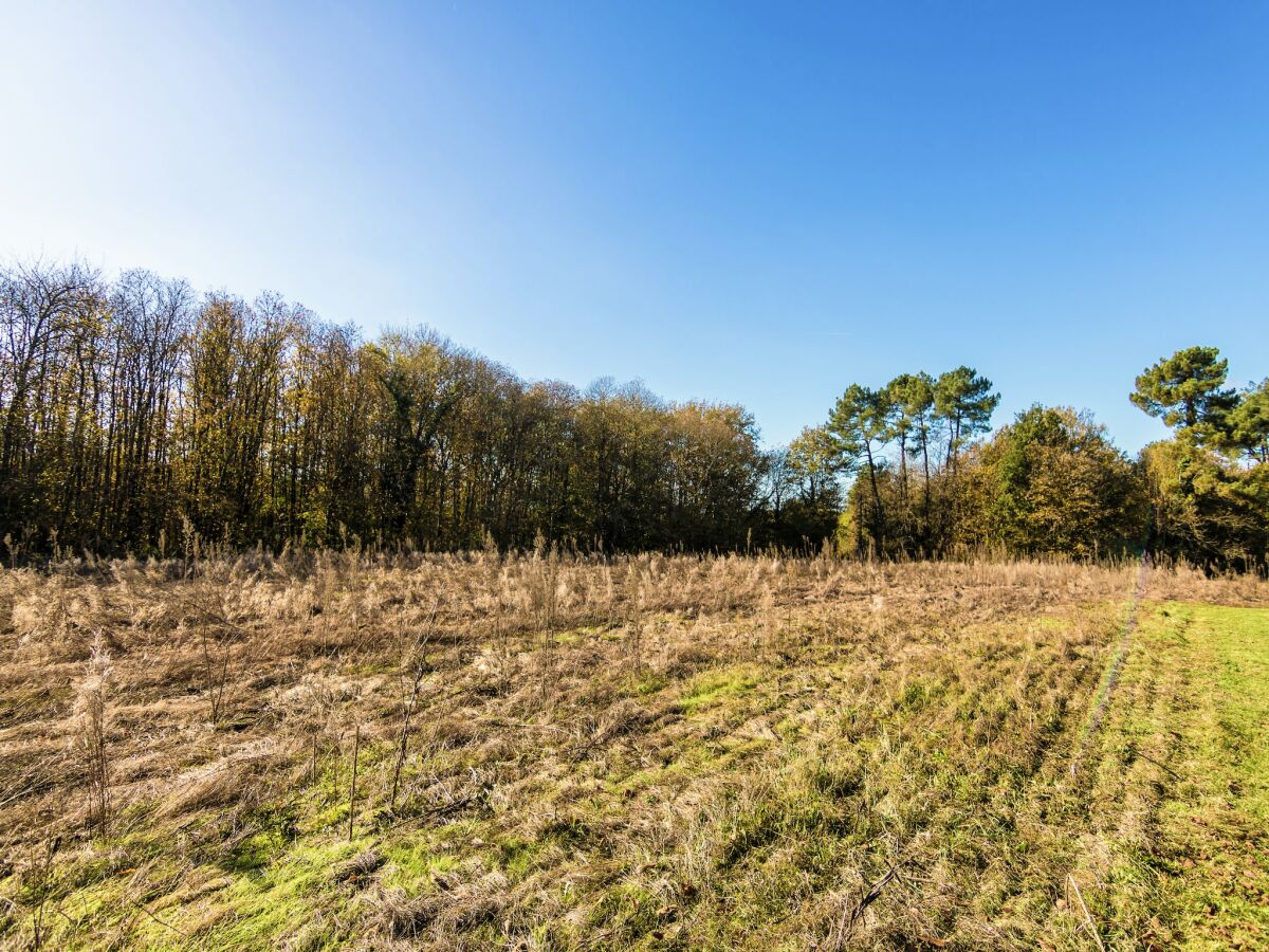 Holiday house Tranquil Escape in Cendrieux - Outdoor photo 4