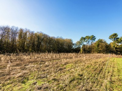 Holiday house Tranquil Escape in Cendrieux - Outdoor photo 4